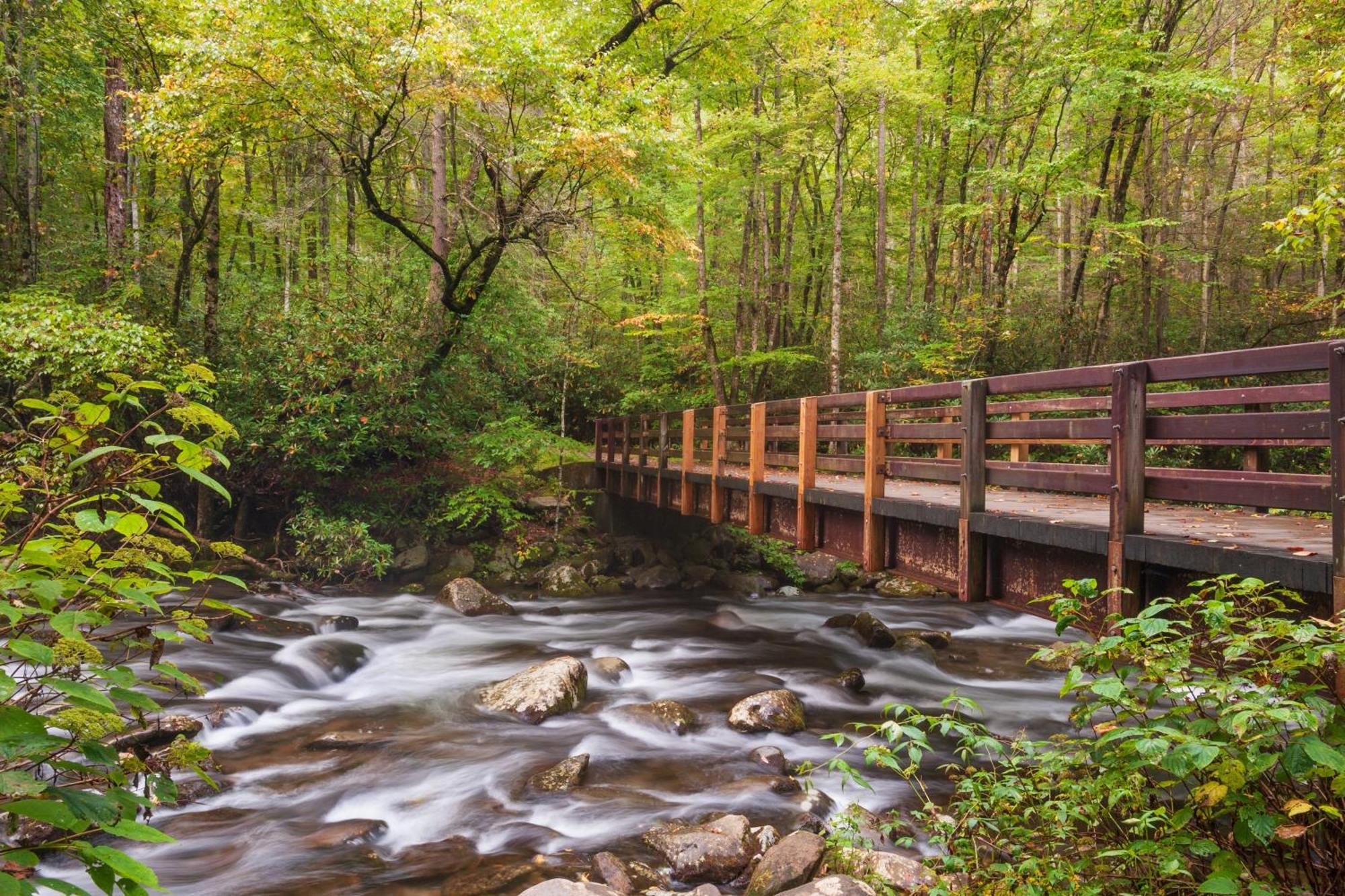 Hébergement de vacances Cozy Bear Hill, Pool, 1089 Of Free Attraction Tickets For Each Paid Day, Dollywood And More! Pigeon Forge